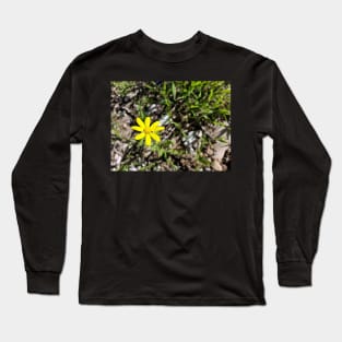 Yellow Eastern Groundsel Flower Closeup Long Sleeve T-Shirt